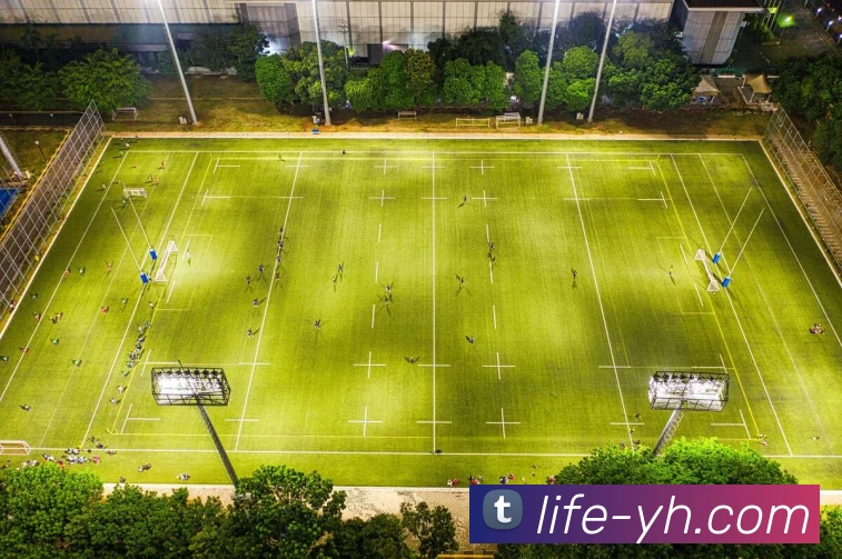 App Interface Preview